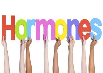 Ταξίδι στην καταιγίδα του χρόνου