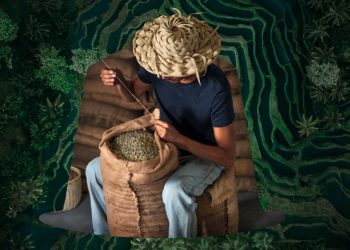 Ανακαλύψτε τη νέα Limited Edition Master Origins Aged Sumatra από παλαιωμένους Arabica