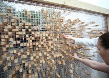 Διαδραστικό project “Ο τοίχος που χάνεται” στη Θεσσαλονίκη