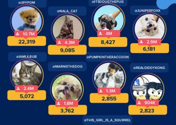 Revealed: Instagram’s Highest Earning Animal Accounts