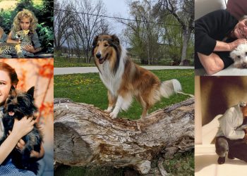 14 διάσημοι ποζάρουν με τα ζωάκια τους