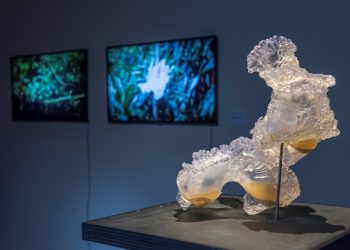 Διαδικτυακή Έκθεση στη Στέγη