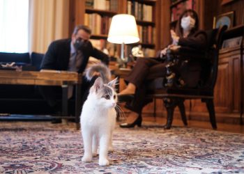 Η προεδρική γάτα που μας έκλεψε την καρδιά