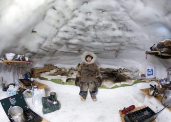 Ζωή σε ιγκλού