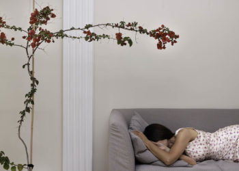 MOMus: Νέες διαδικτυακές συναντήσεις