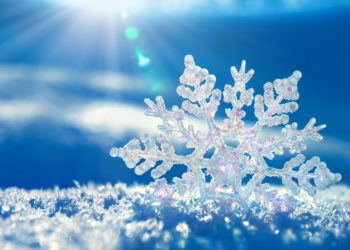 Pavripedia: Η μυστική ομορφιά του χιονιού