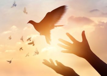 H δύναμη της συγγνώμης