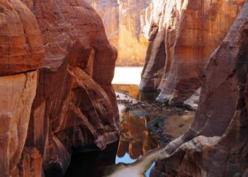 Όαση στην έρημο