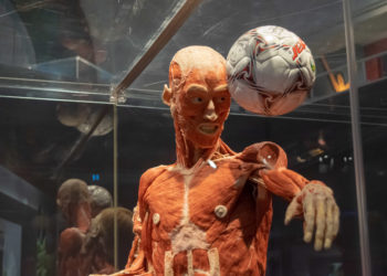 Έκθεση με πραγματικά ανθρώπινα σώματα σε «πλαστινοποίηση»