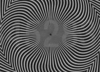 Viral: Εσείς ποιον αριθμό βλέπετε;