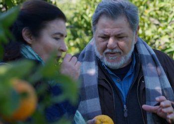 Η γη της ελιάς: Η ημέρα του Εφετείου πλησιάζει