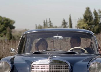 Άγριες Μέλισσες: Μια αναπάντεχη πρόταση στους Σεβαστούς