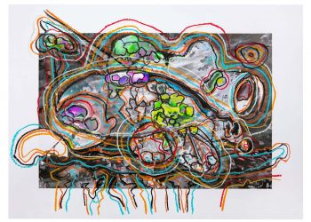 Έκθεση Costas Picadas: “Finding the ties between science and nature”