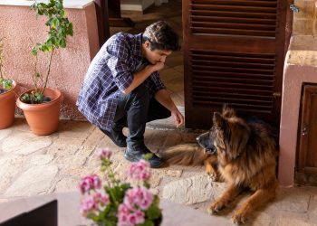 Σασμός: Ο Πετρής επιστρέφει…