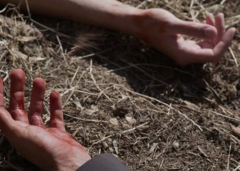 Άγριες Μέλισσες: Ο Ακύλας βάζει σε εφαρμογή το σχέδιό του