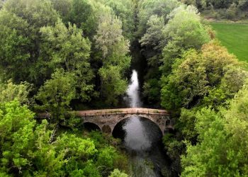 Zήστε την εμπειρία του Fiesta Voio