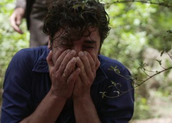 Άγριες Μέλισσες: Οι παλιοί λογαριασμοί κλείνουν για πάντα