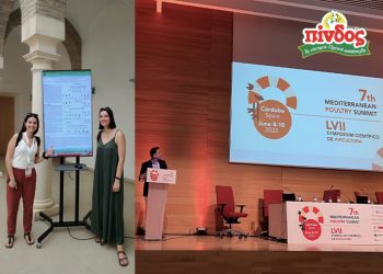 Πίνδος: Διεθνή Διάκριση στο πλαίσιο επιστημονικής έρευνας του Πανεπιστημίου Ιωαννίνων