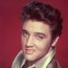 Viva Elvis!