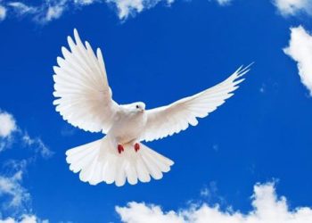 Γιορτή του Αγίου Πνεύματος