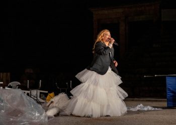 “Σφήκες” στην Αττική