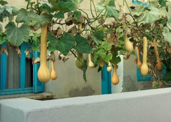 “Kournos Music Festival 2023” τον Αύγουστο στη Λήμνο