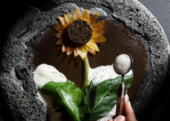 Yψηλή γαστρονομία στο Delta Restaurant