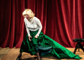 Ο γλάρος: Ο Δημήτρης Καραντζάς ολοκληρώνει την τριλογία @Προσκήνιο