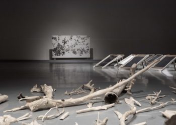 Έκθεση «Κήπος σωματιδίων» του Νίκου Παπαδόπουλου στο Μέγαρο