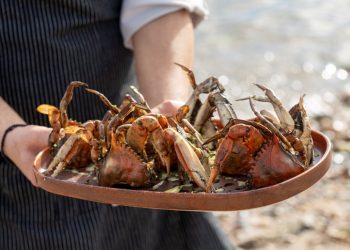 Astakos: Τρώγοντας έρχεται η θάλασσα