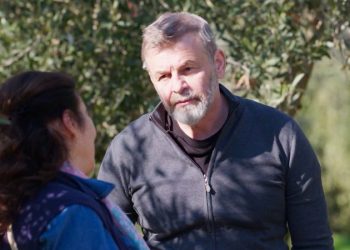 Η γη της ελιάς: Απαντήσεις σε ερωτήματα