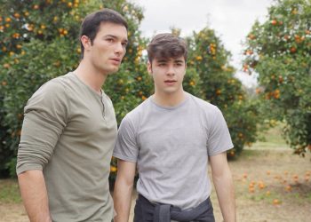 Η γη της ελιάς: Αποφάσεις & πιέσεις