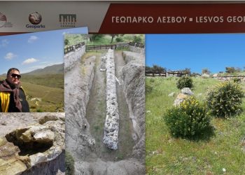 Στο φημισμένο Απολιθωμένο Δάσος της Λέσβου