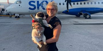 Πώς πρέπει να γίνουν περισσότερο pet-friendly τα Μέσα Μαζικής Μεταφοράς