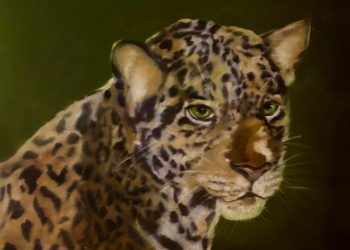 Όλγα Καραδήμου: «Sauvage» στο Ιστορικό Αρχείο Μουσείο Ύδρας