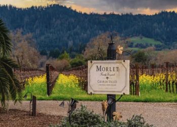 «Wine & Dine» Morlet στο Island