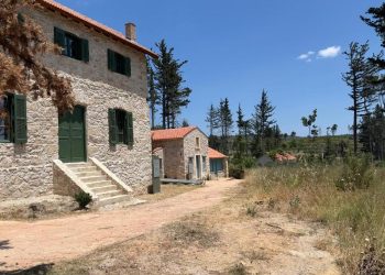 Συνεχίζονται τα έργα στο π. βασιλικό κτήμα στο Τατόι